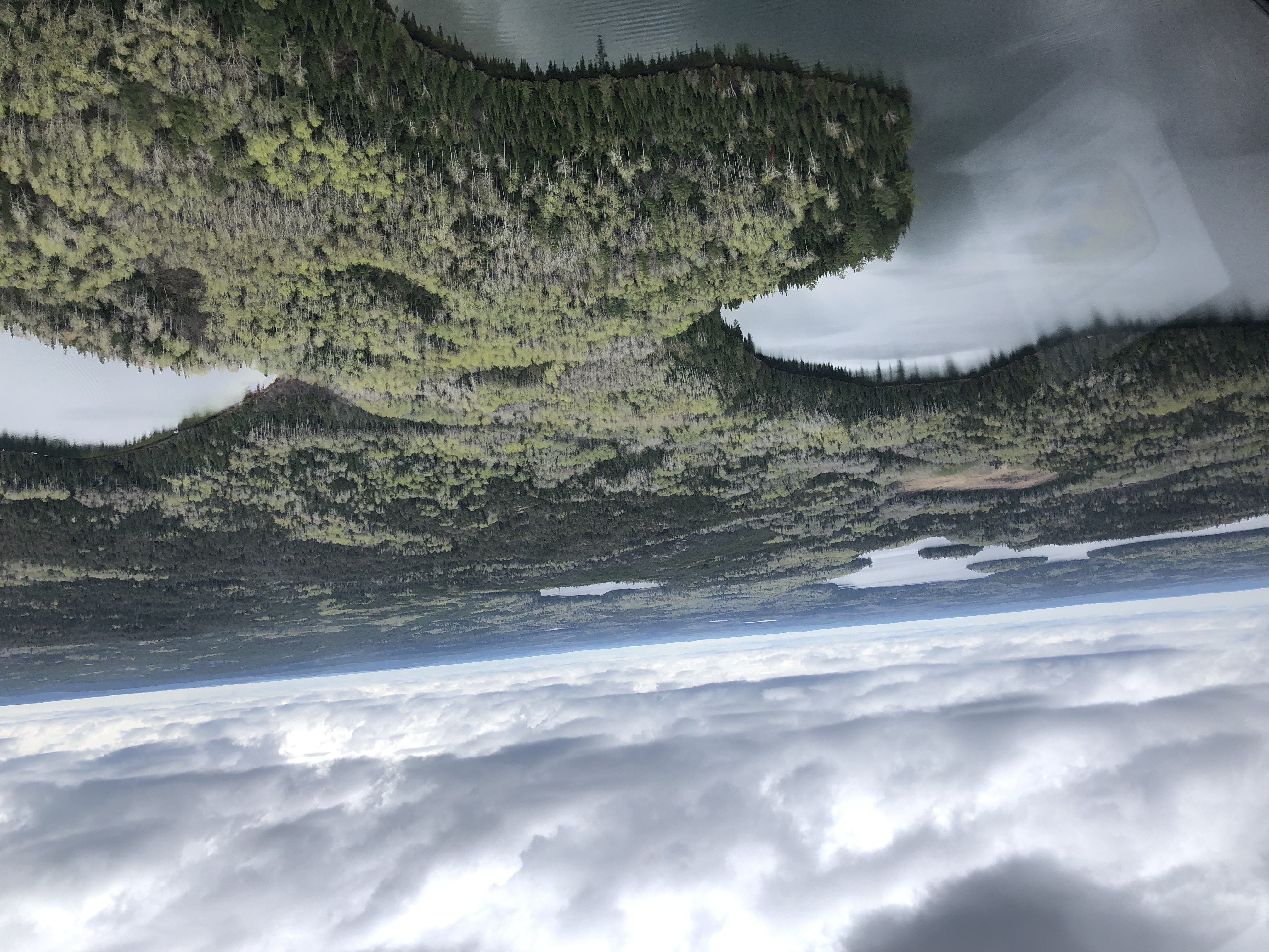 Original aerial photograph of boreal forest and lakes used as the second reference.